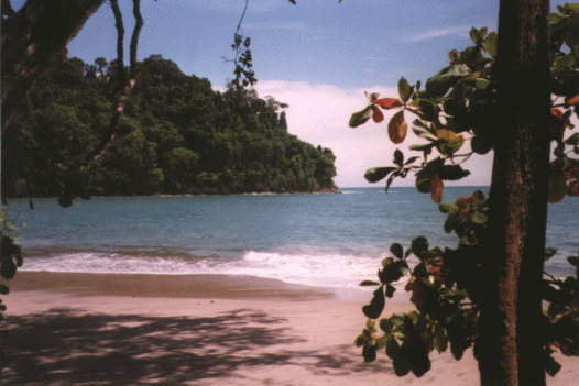 Nationalpark Manuel Antonio (1)