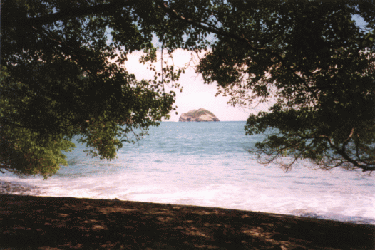 Nationalpark Manuel Antonio (2)