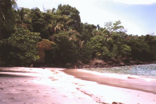 Strand am Pazifik