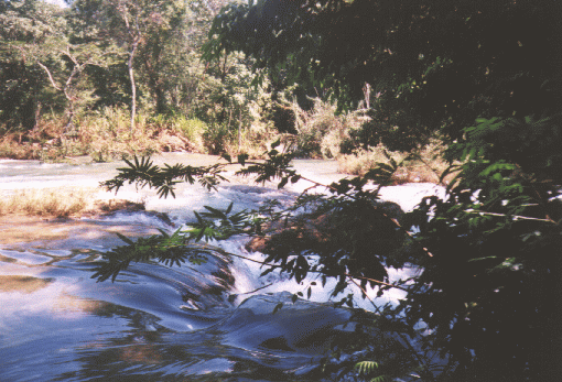 Agua Azul (2)